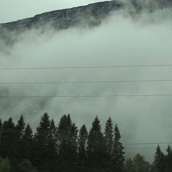 Wandering Mind, Drifting Weather