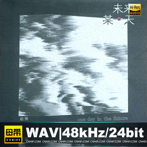 岩贵 – 未来某一天