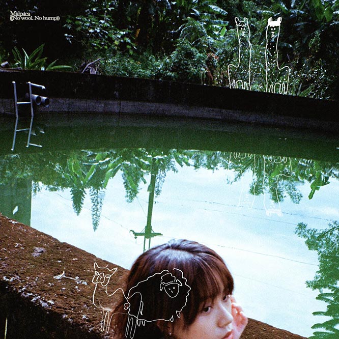 羊駝小姐 – ((No wool. No hump))