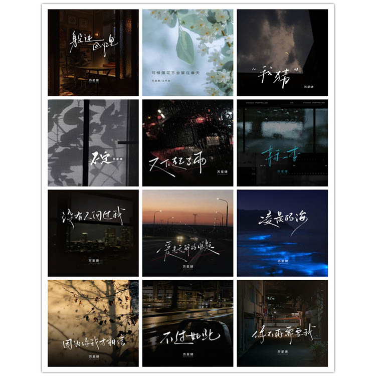 苏星婕 – 单曲合集5 [12曲