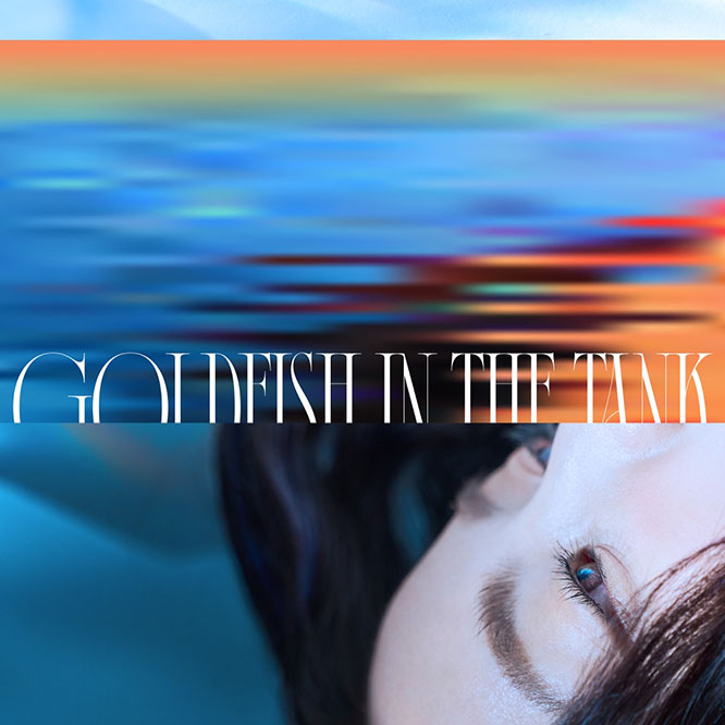 薛詒丹 – 孤獨金魚圖鑑