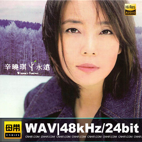 辛晓琪 – 永远