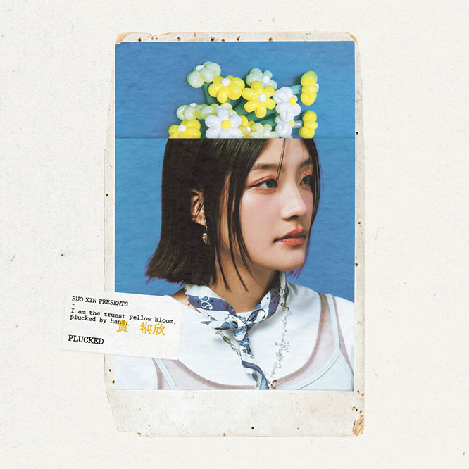 黃若欣 – 黃花 Plucked