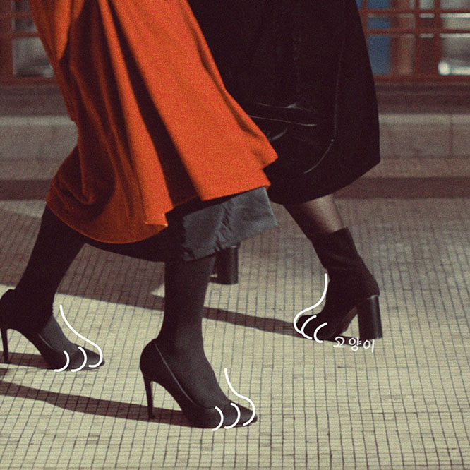 鲜于贞娥 – 고양이