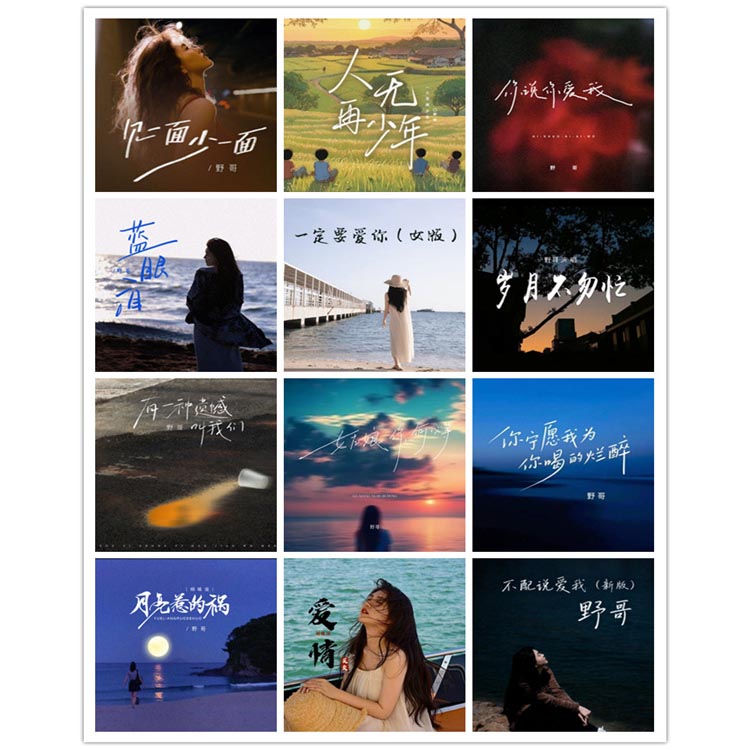 野哥 – 单曲合集2 [12曲]